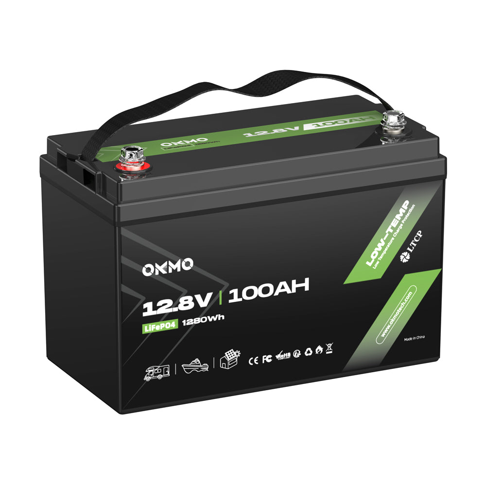 ECO WORTHY Lithiumaccu 12V 20Ah Met BMS Bescherming Voor Zonne Installatie Complete Set 2397489020 ECO WORTHY Lithiumaccu 12V 20Ah Met BMS Bescherming Voor Zonne Installatie Complete Set 2397489020