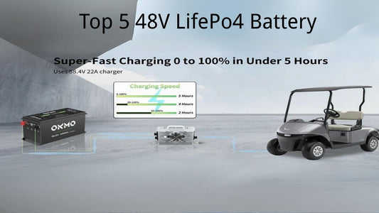 Top 5 48V LiFePO4 Battery