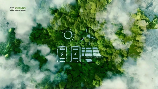 Lifepo4 Battery Control Module is BMS ？