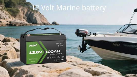 ⚡ Everything You Need to Know About the 12 Volt Marine Battery