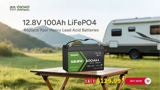 In-Depth Analysis of 12V 100Ah LiFePO4 Batteries