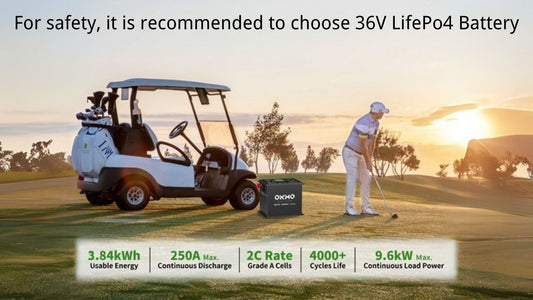 36 Volt Li ion Battery or 36V LifePo4 Battery