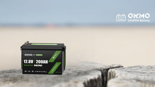 Top 5 12V 200Ah Mini LiFePO4 Battery
