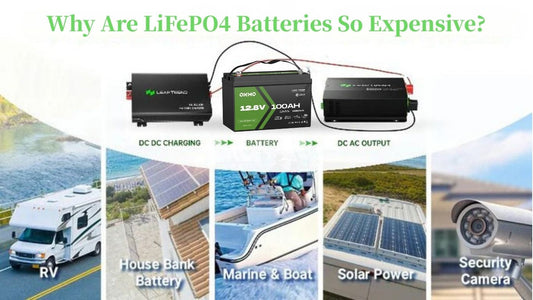 Why Are LiFePO4 Batteries So Expensive?
