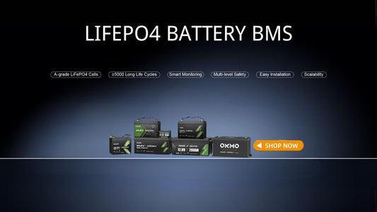 The Guardian of LiFePO4 Batteries: An In-Depth Analysis of BMS Systems