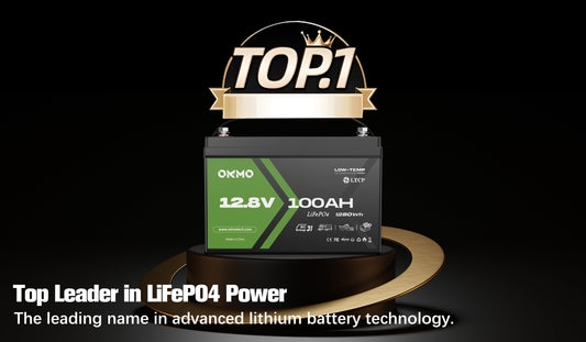 Best 12v 100ah Lithium Battery for Trolling Motor