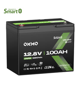 OKMO 12V 100Ah Group 24 15000+ Deep Cycles LiFePO4 Lithium Battery  Bluetooth