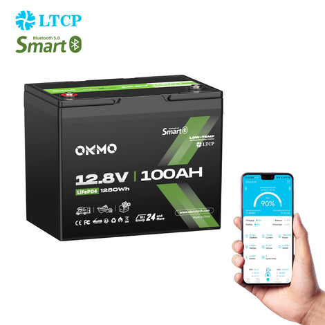 OKMO 12V 100Ah Group 24 15000+ Deep Cycles LiFePO4 Lithium Battery  Bluetooth