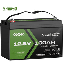 OKMO 12V 100Ah Group 31 15000+ Deep Cycles LiFePO4 Lithium Battery Bluetooth