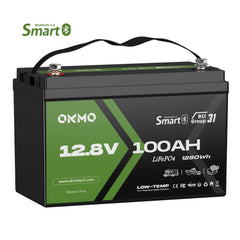 OKMO 12V 100Ah Group 31 15000+ Deep Cycles LiFePO4 Lithium Battery Bluetooth