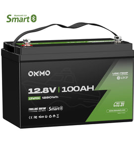 OKMO 12V 100Ah TM LifePo4 Lithium Marine Trolling Motor Battery with Bluetooth