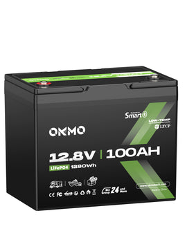 OKMO 12V 100Ah Group 24 15000+ Deep Cycles LiFePO4 Lithium Battery  Bluetooth