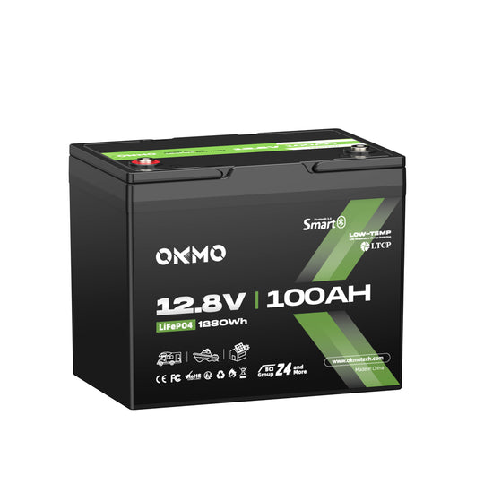 OKMO 12V 100Ah Group 24 15000+ Deep Cycles LiFePO4 Lithium Battery  Bluetooth