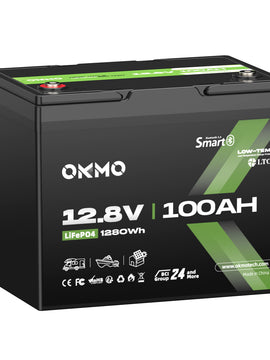 OKMO 12V 100Ah Group 24 15000+ Deep Cycles LiFePO4 Lithium Battery  Bluetooth